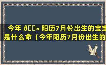 今年 🌻 阳历7月份出生的宝宝是什么命（今年阳历7月份出生的宝宝是什么命运）